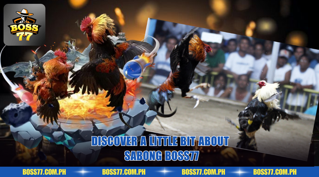 Discover a little bit about Sabong BOSS77