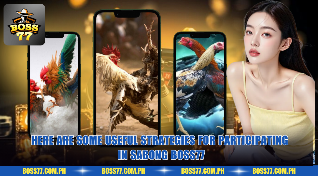Here are some useful strategies for participating in sabong BOSS77